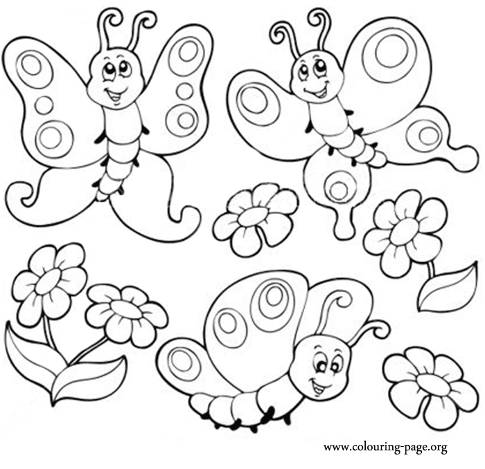cute butterfly Colouring Pages