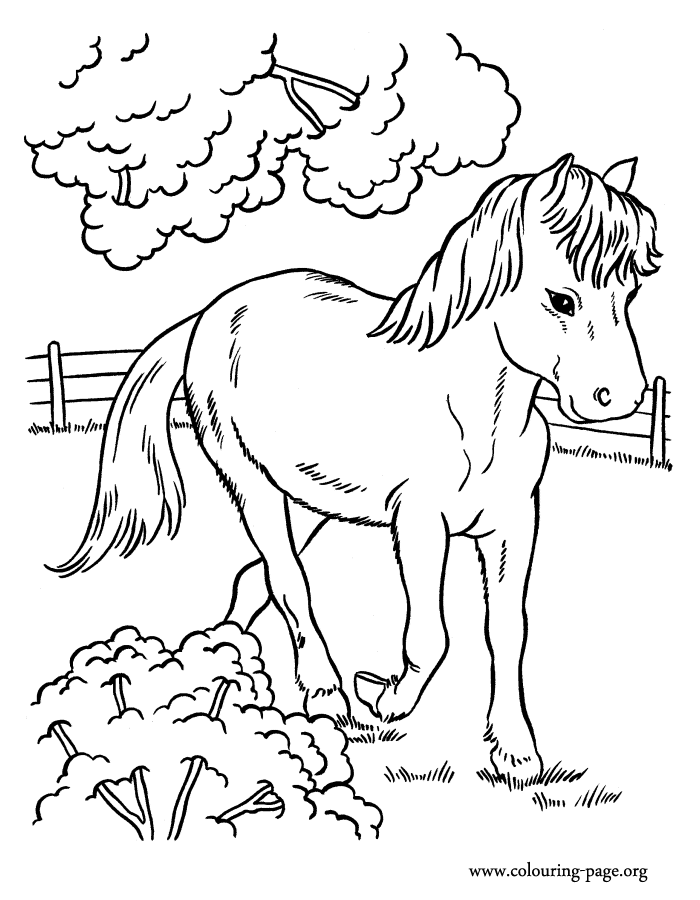Download Horses - A cute horse running in the farm coloring page