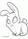Rabbits and Bunnies Coloring Pages
